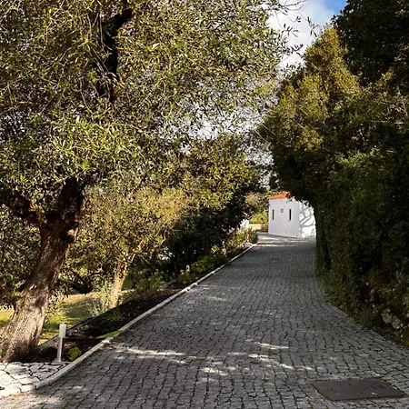 Mountain View 2 Bedroom Alcobaça