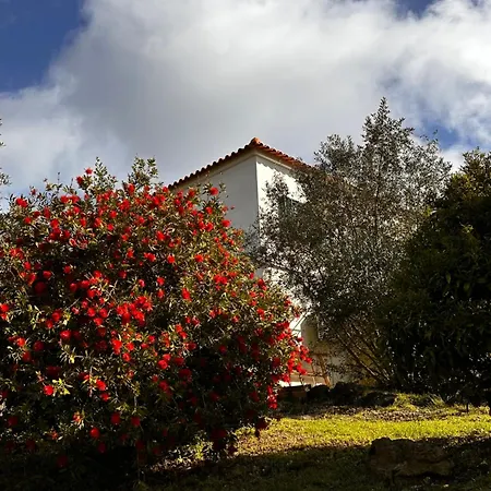 Mountain View 2 Bedroom Vakantiehuis *