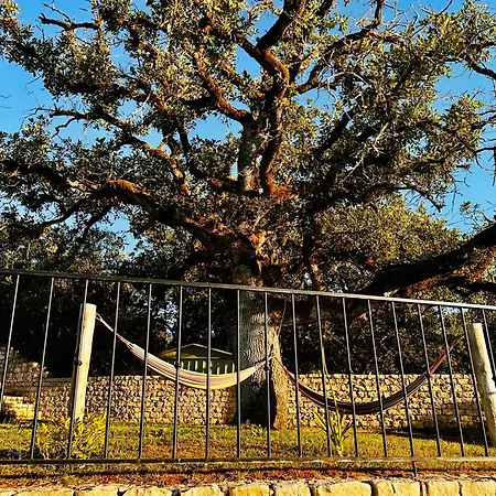 Mountain View 2 Bedroom *