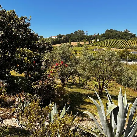 Mountain View 2 Bedroom Vakantiehuis