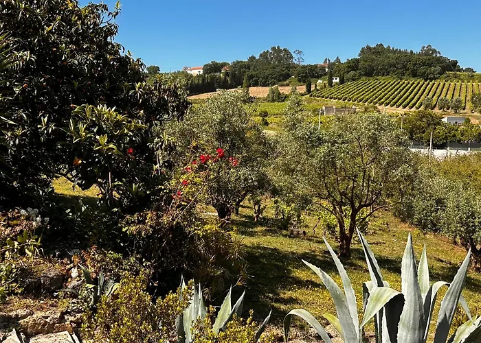 Mountain View 2 Bedroom Casa vacanze